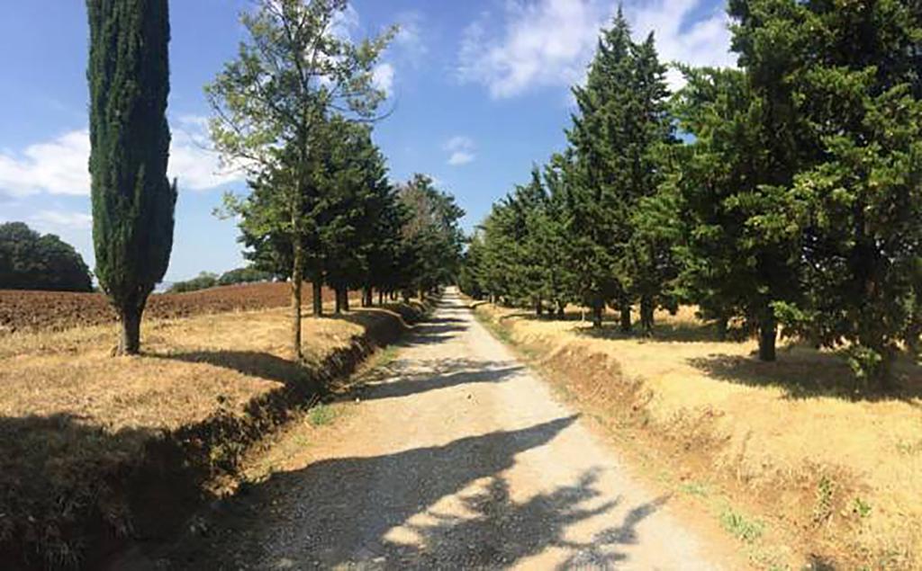 Agriturismo Ipoderi Chianciano Terme Exterior foto